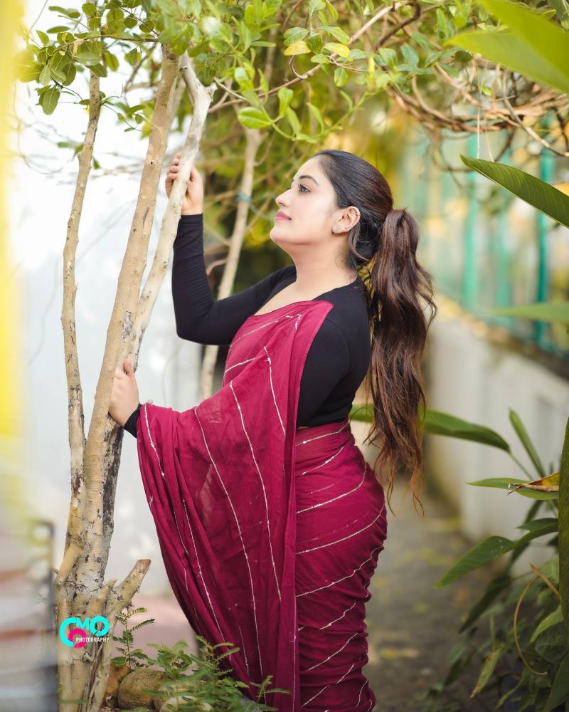 anumol-looking-glamorous-in-saree